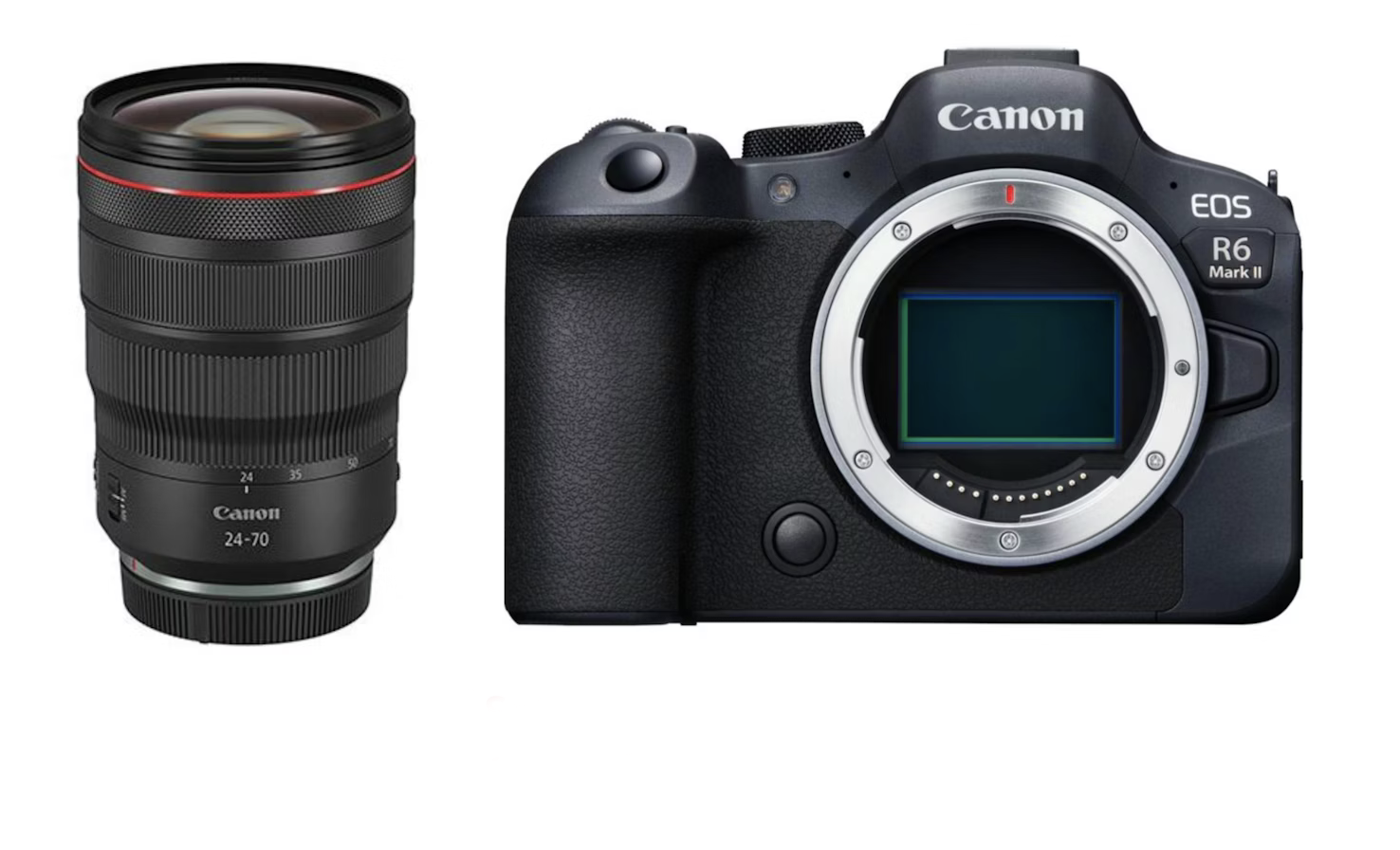 Canon r6 mark ii & canon rf 24-70mm f/2.8l is lens