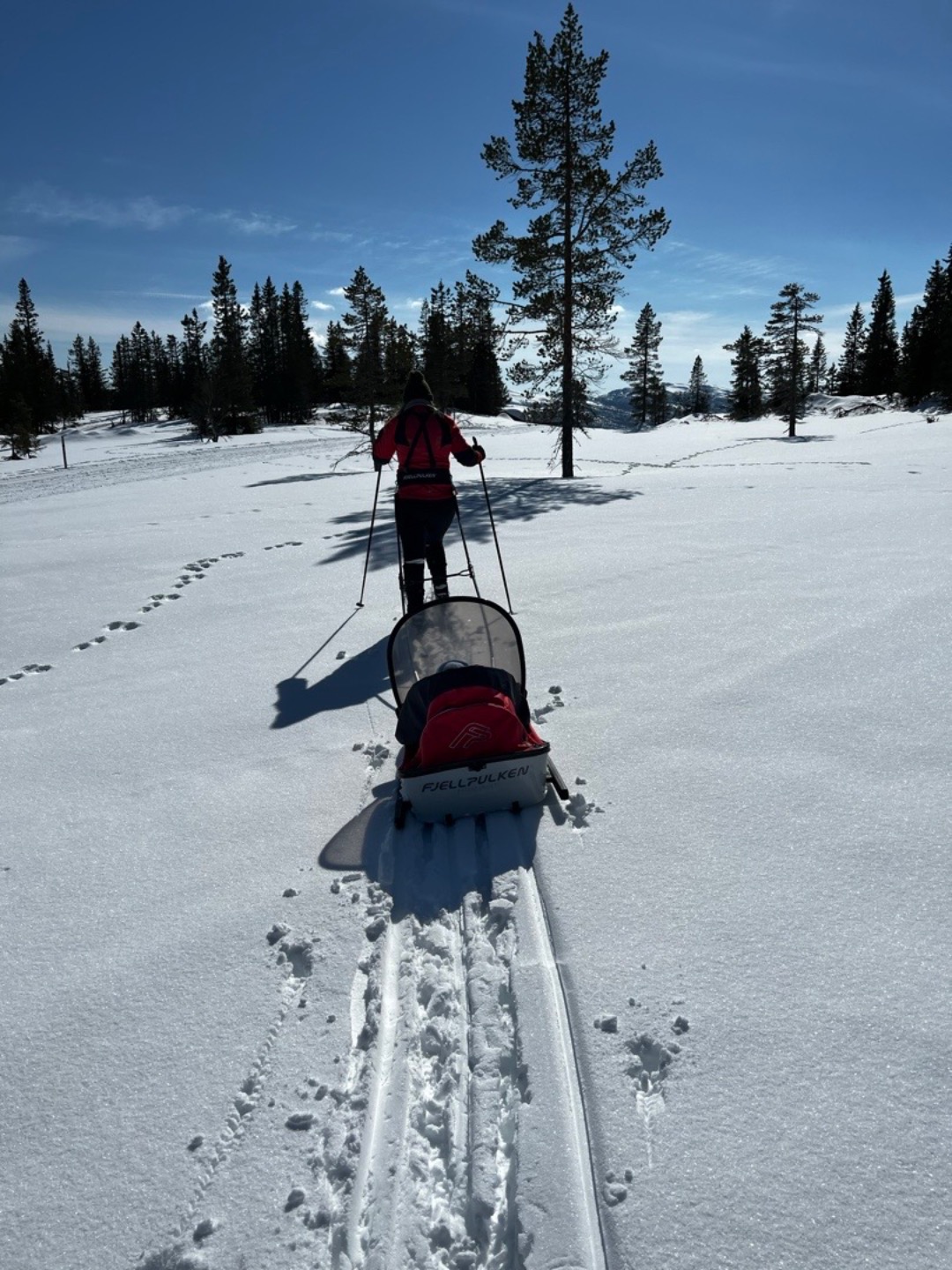 Fjellpulken classic barnepulk