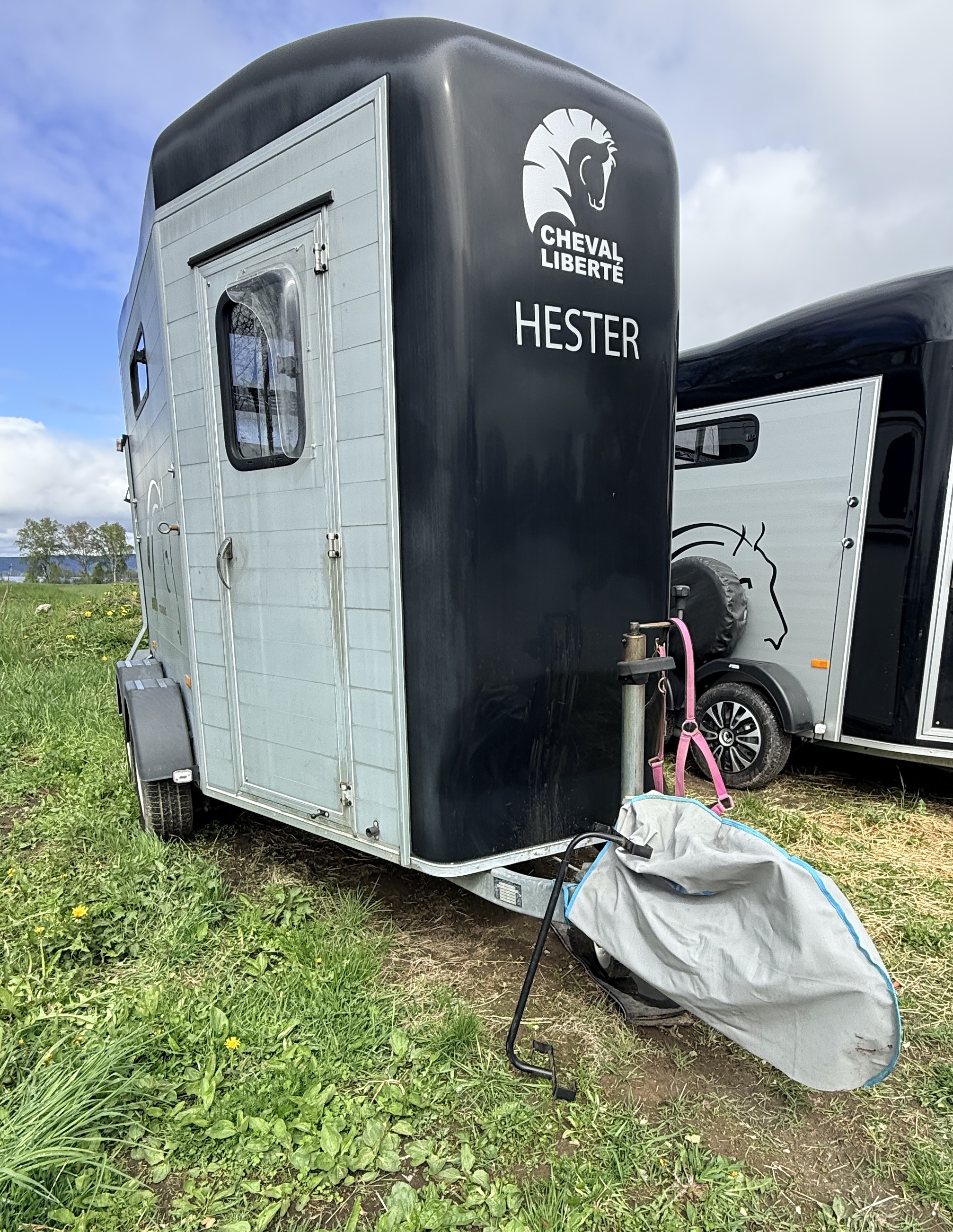 Cheval liberté touring country hestehenger 