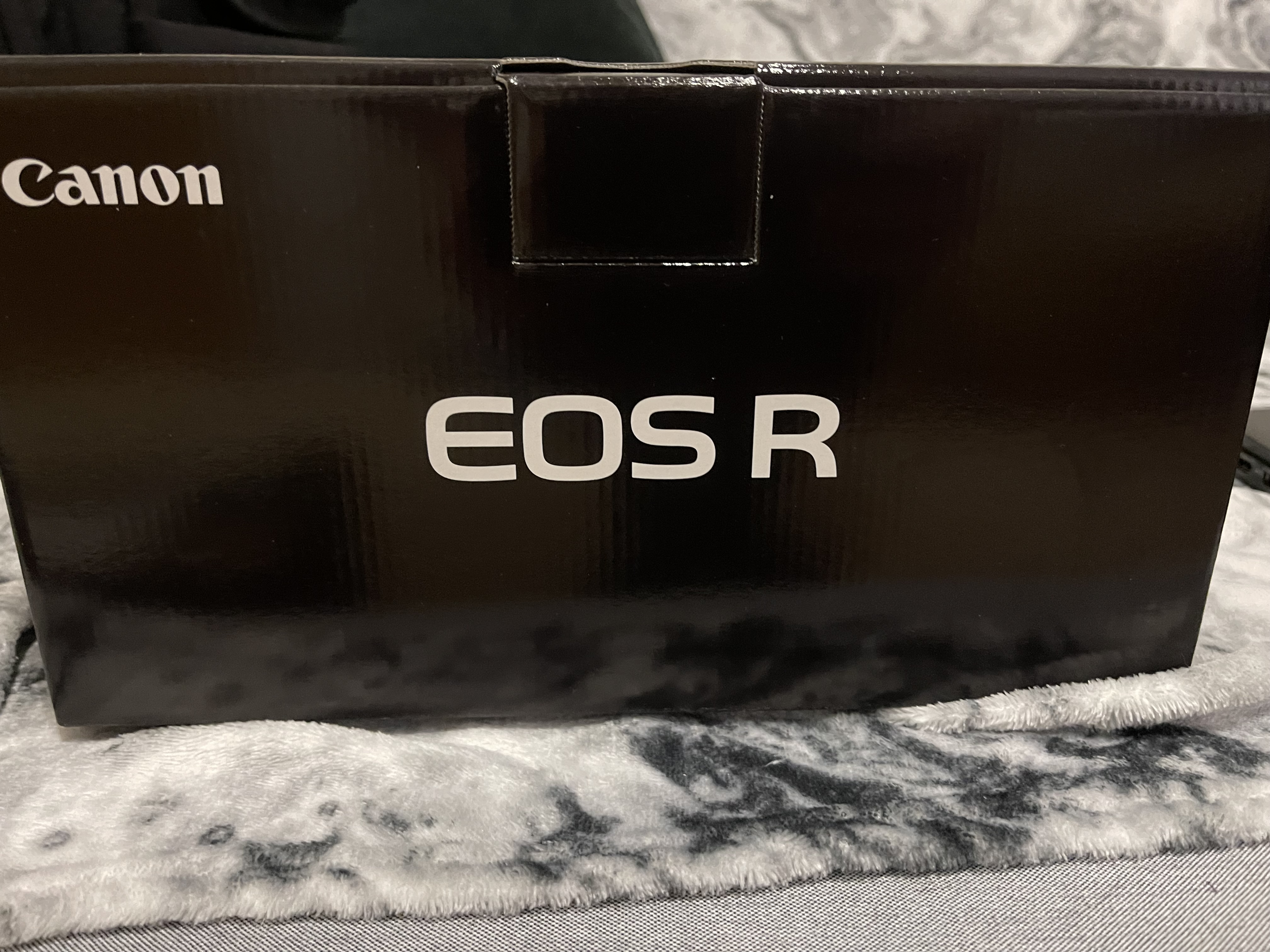 Canon eos r body & lens 