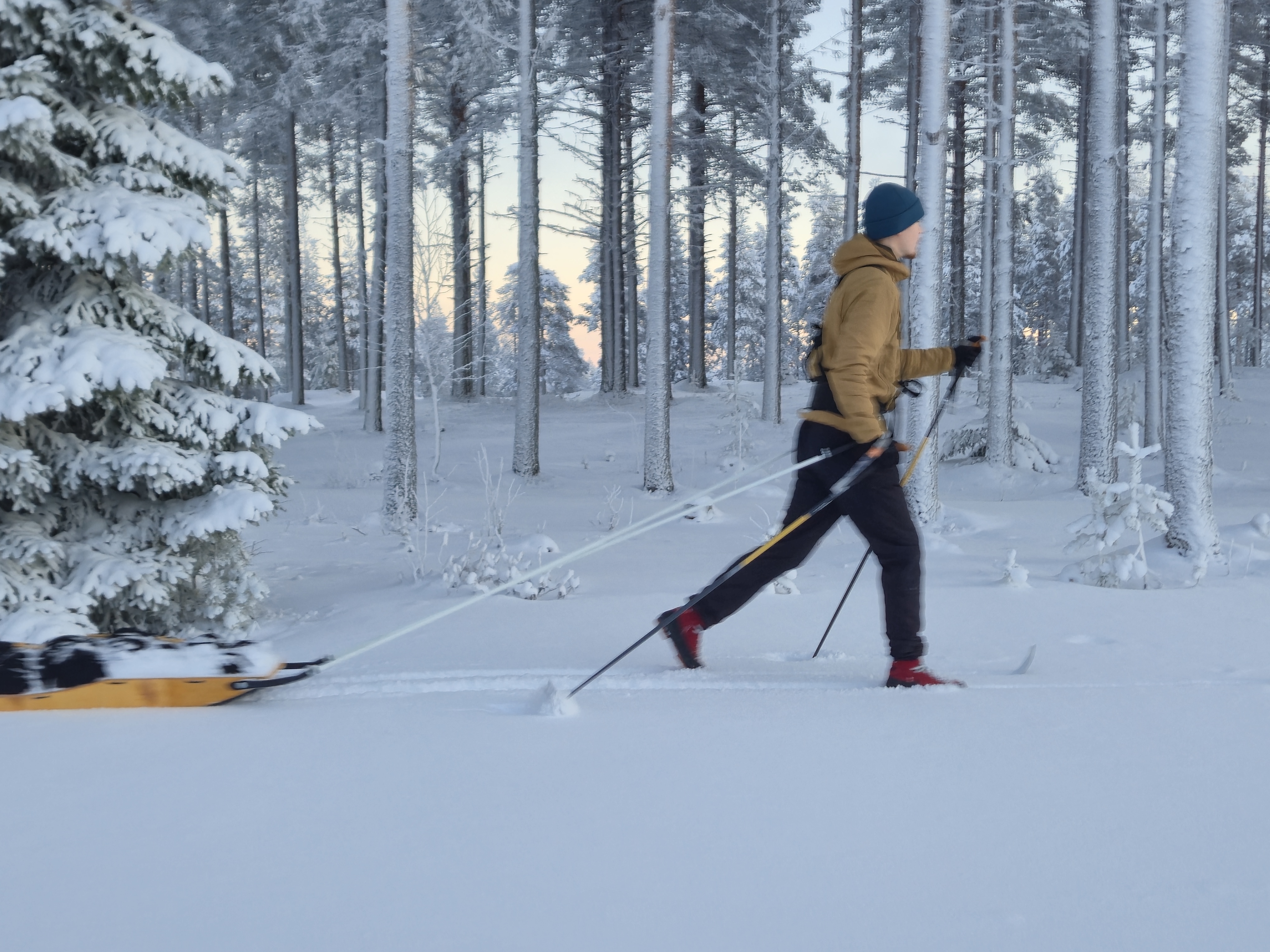 Swix erähiihtosauvat 135-165 cm