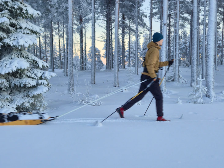 Swix erähiihtosauvat 135-165 cm