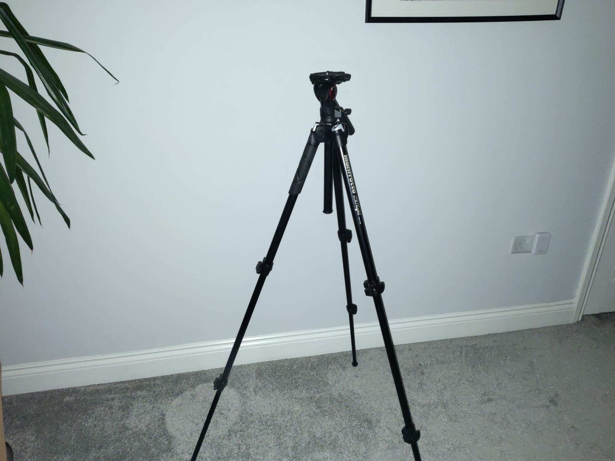 Manfrotto 290 light tripod with befree live fluid head