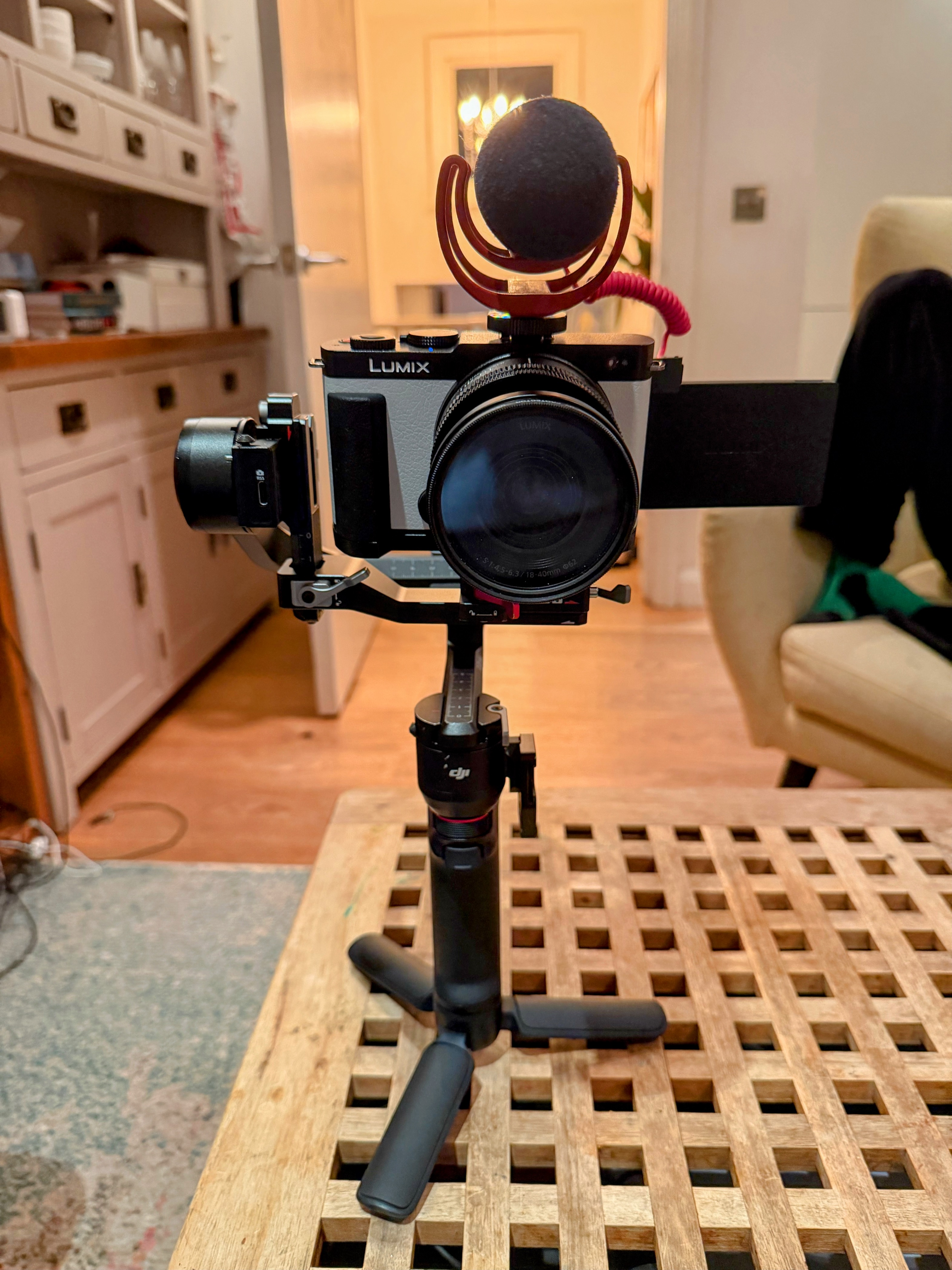Lumix s9  + 2 lens, mic, gimbal