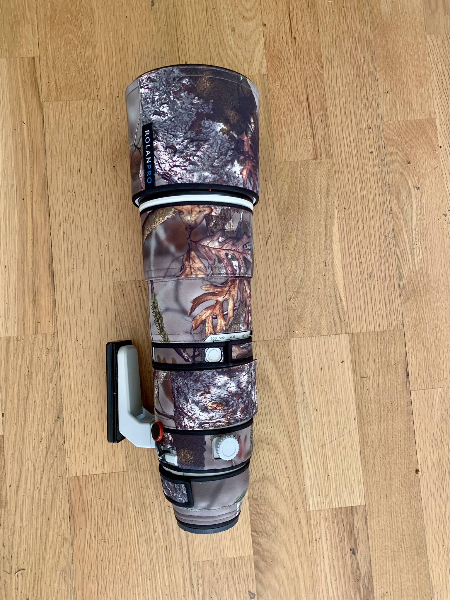 Sony fe 200-600 mm f5.6-6.3 g oss