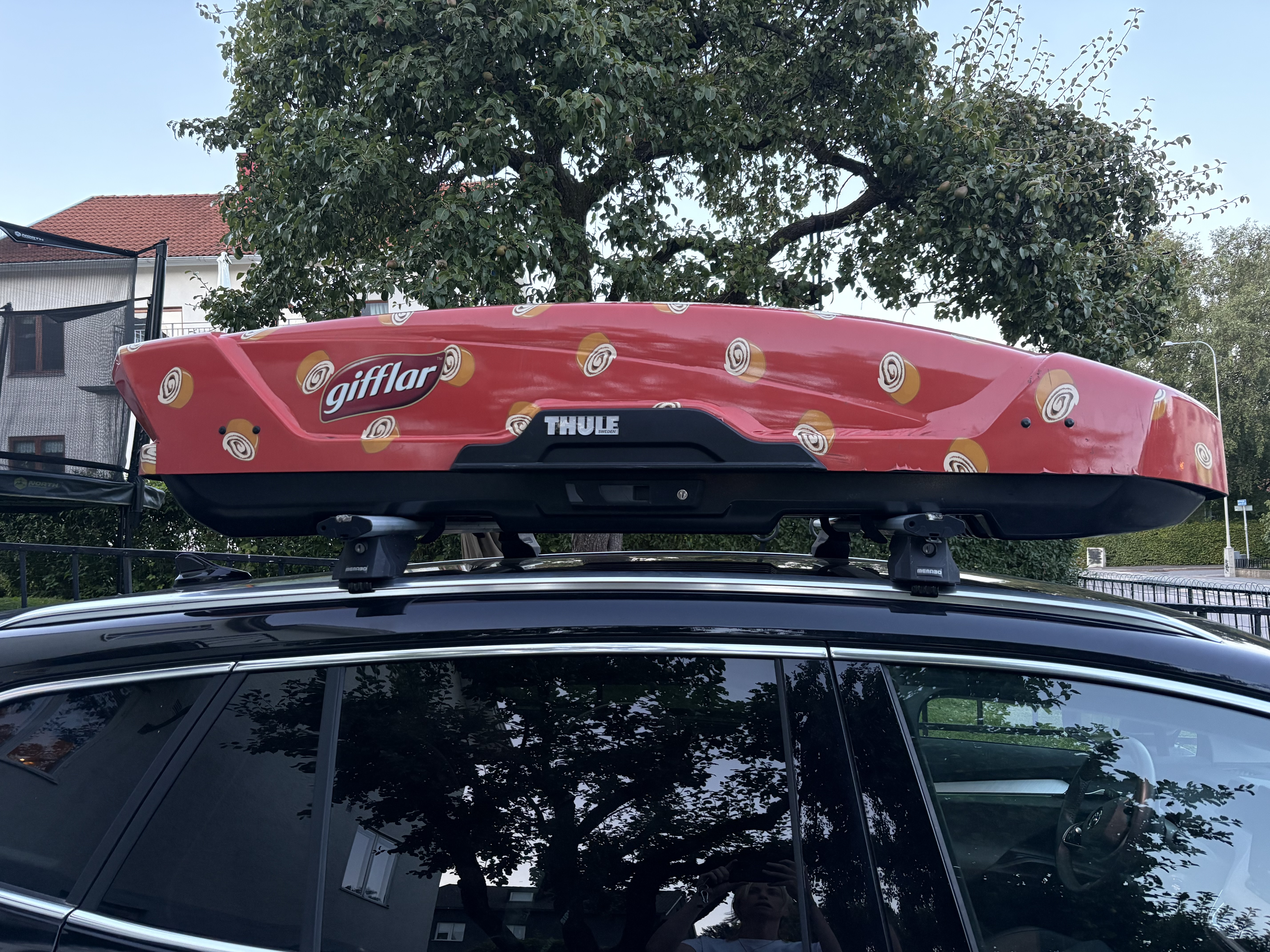 Thule takbox motion 3 sport 300 l med cool branding
