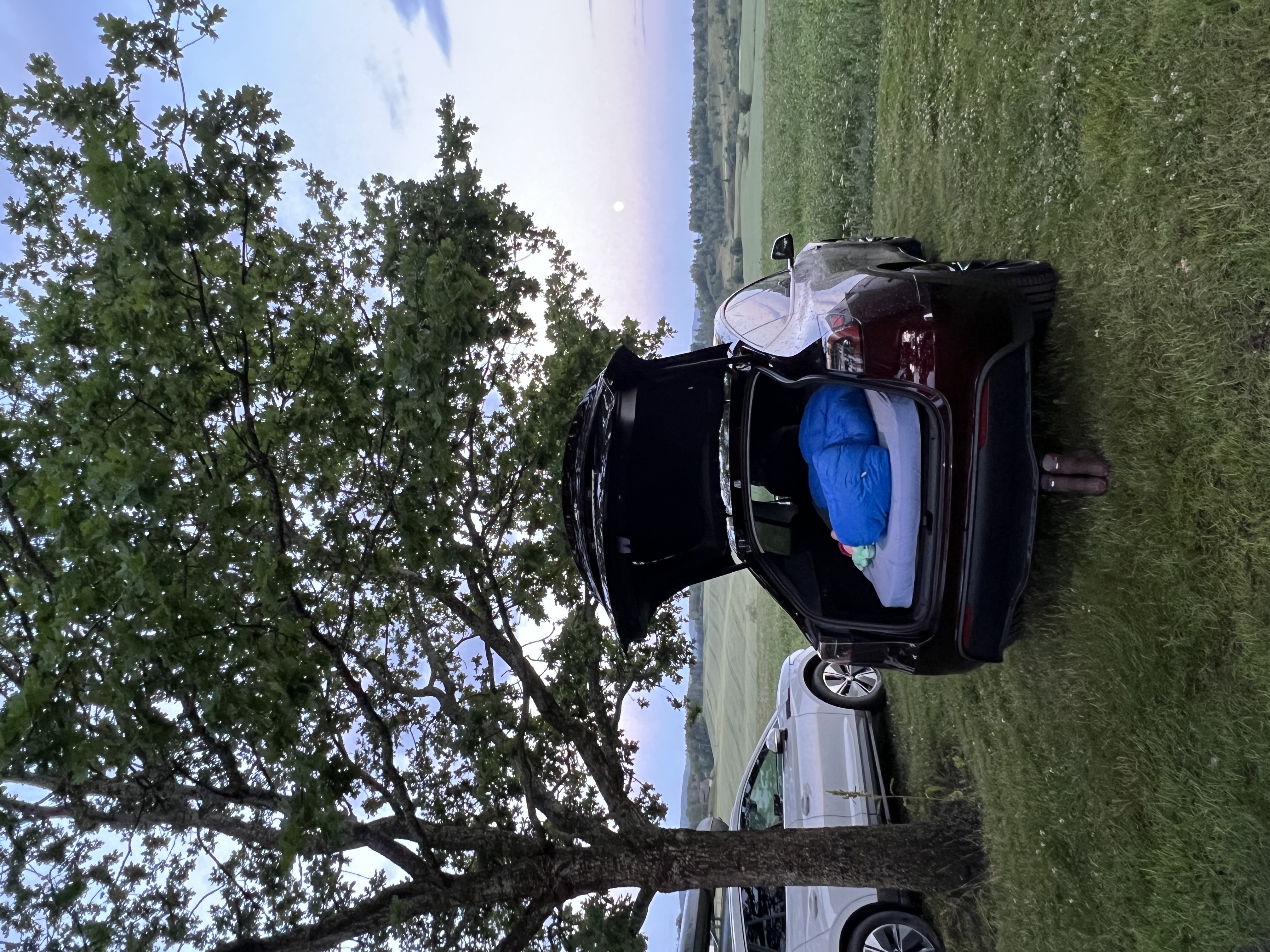 Exped madrass til model y
