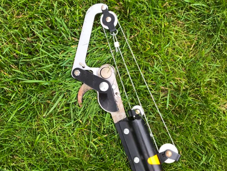 Fruktträdsbeskärare