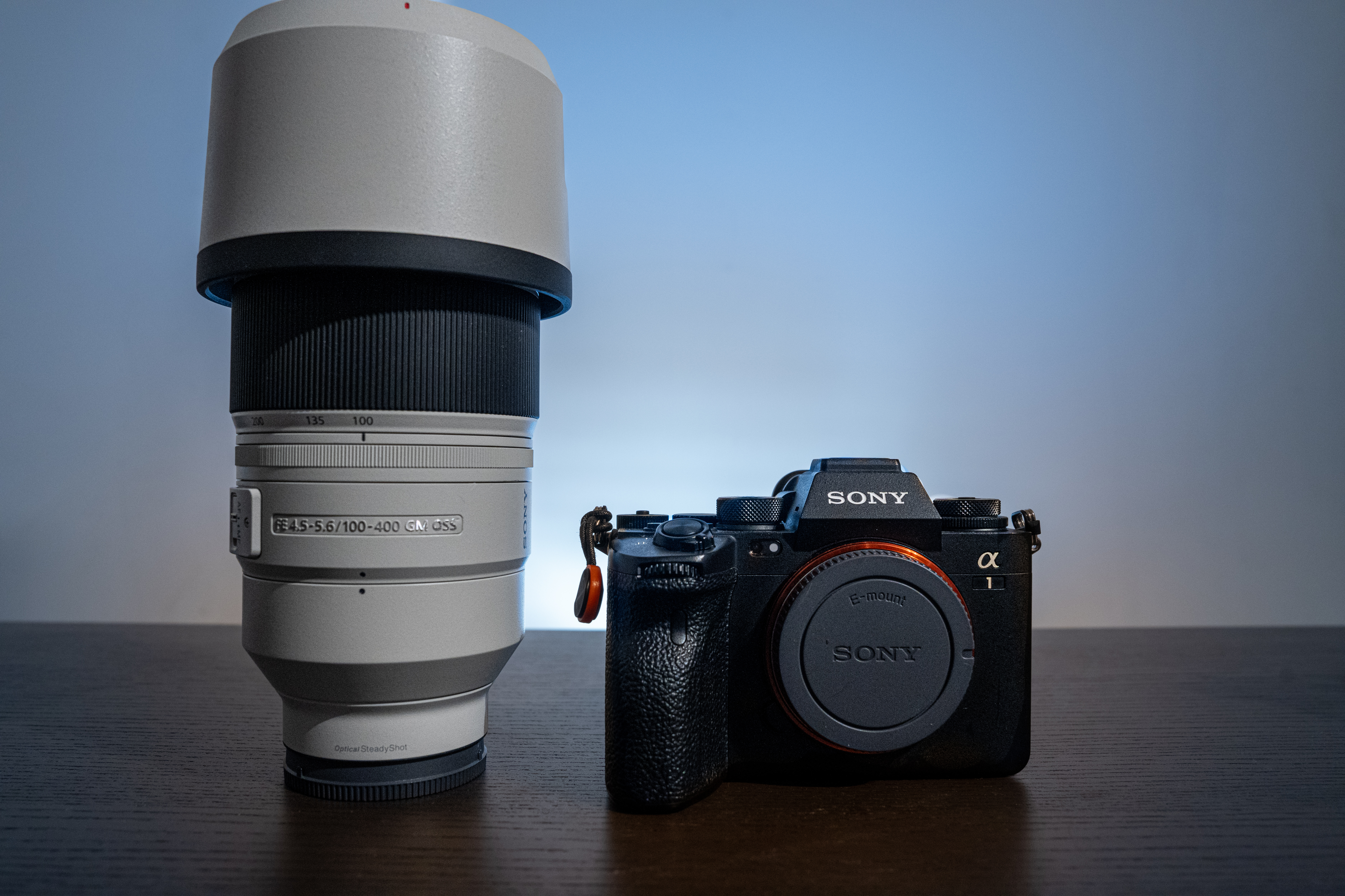Sony a1 + 100-400mm f4.5-5.6 gm