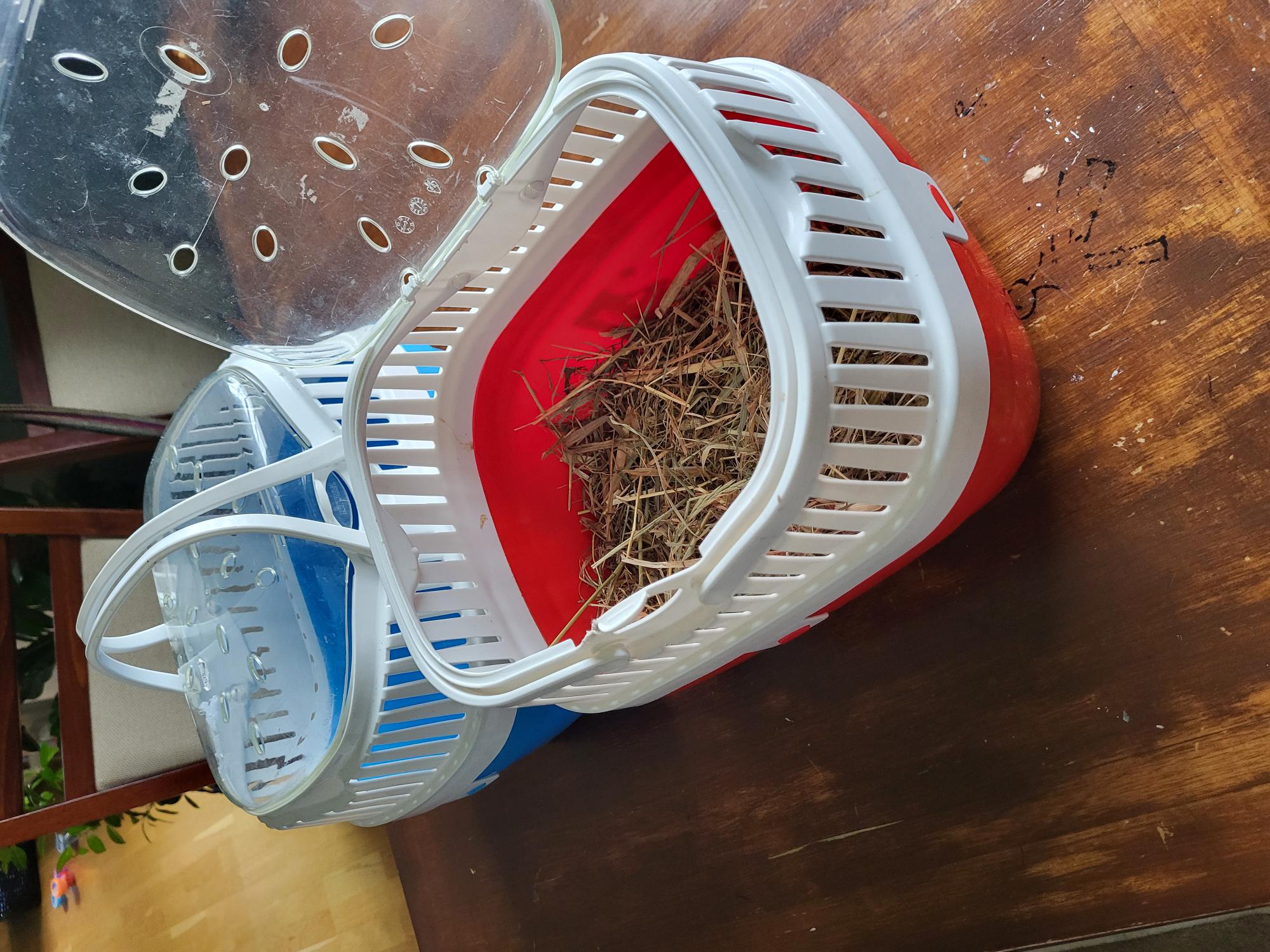 Reisebur til gnagere