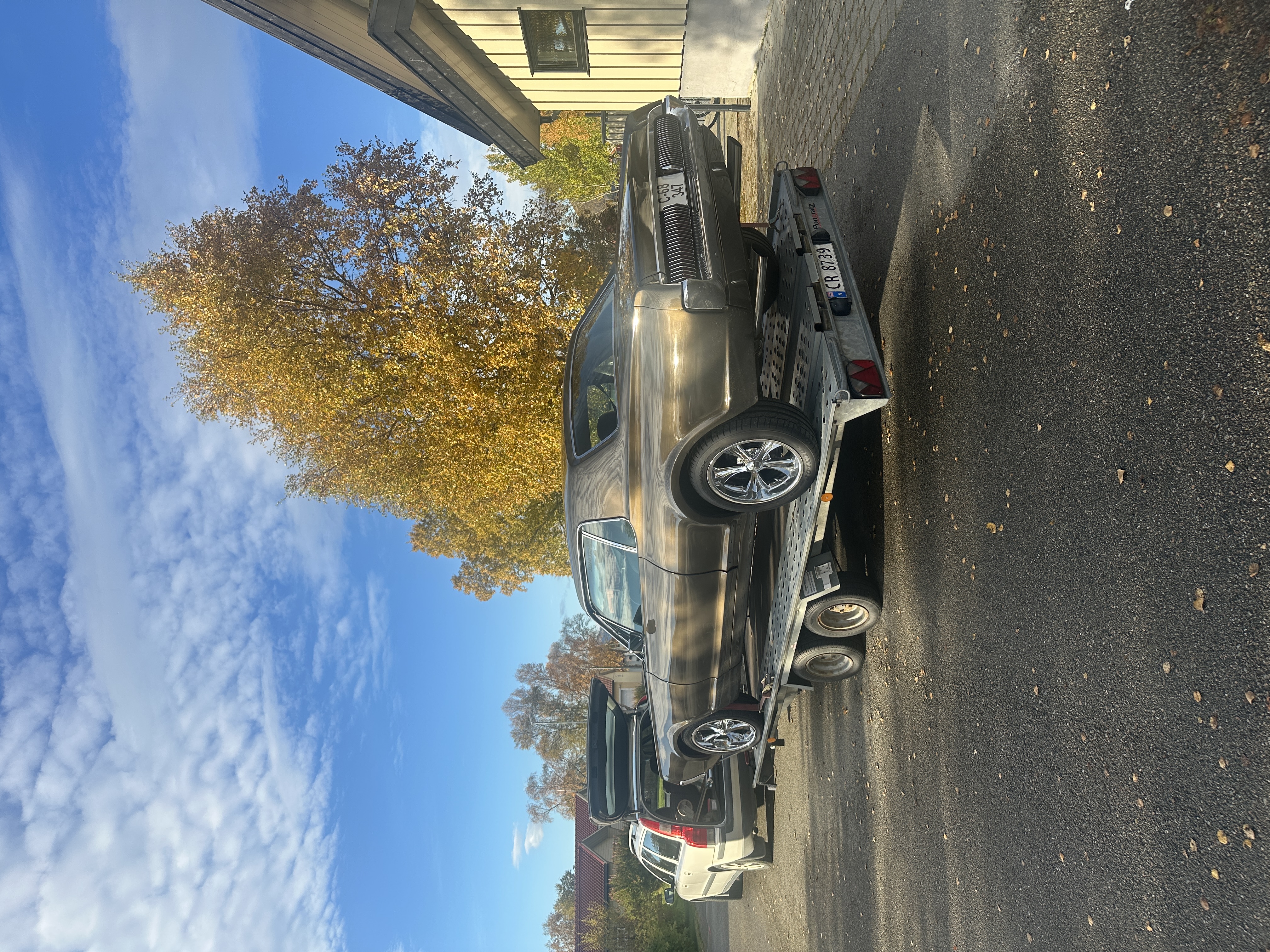 Biltransporthenger