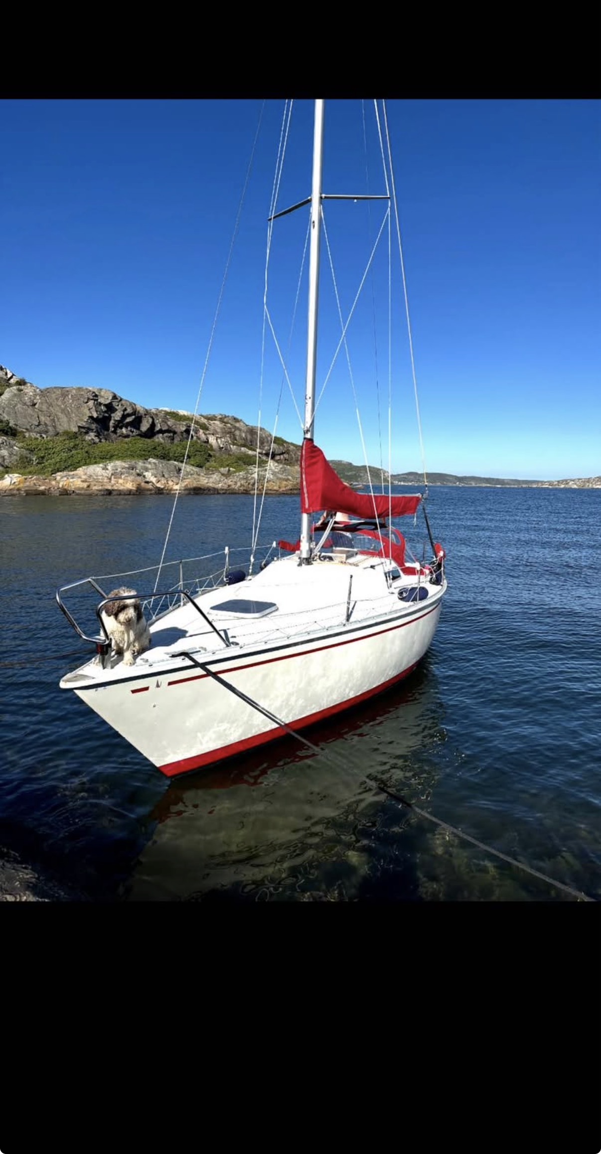 Albin 78 segelbåt