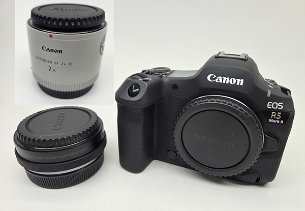 Canon r5 mark ii mirrorless camera + ef adaptor (control ring) + canon extender ef 2x iii teleconverter lens