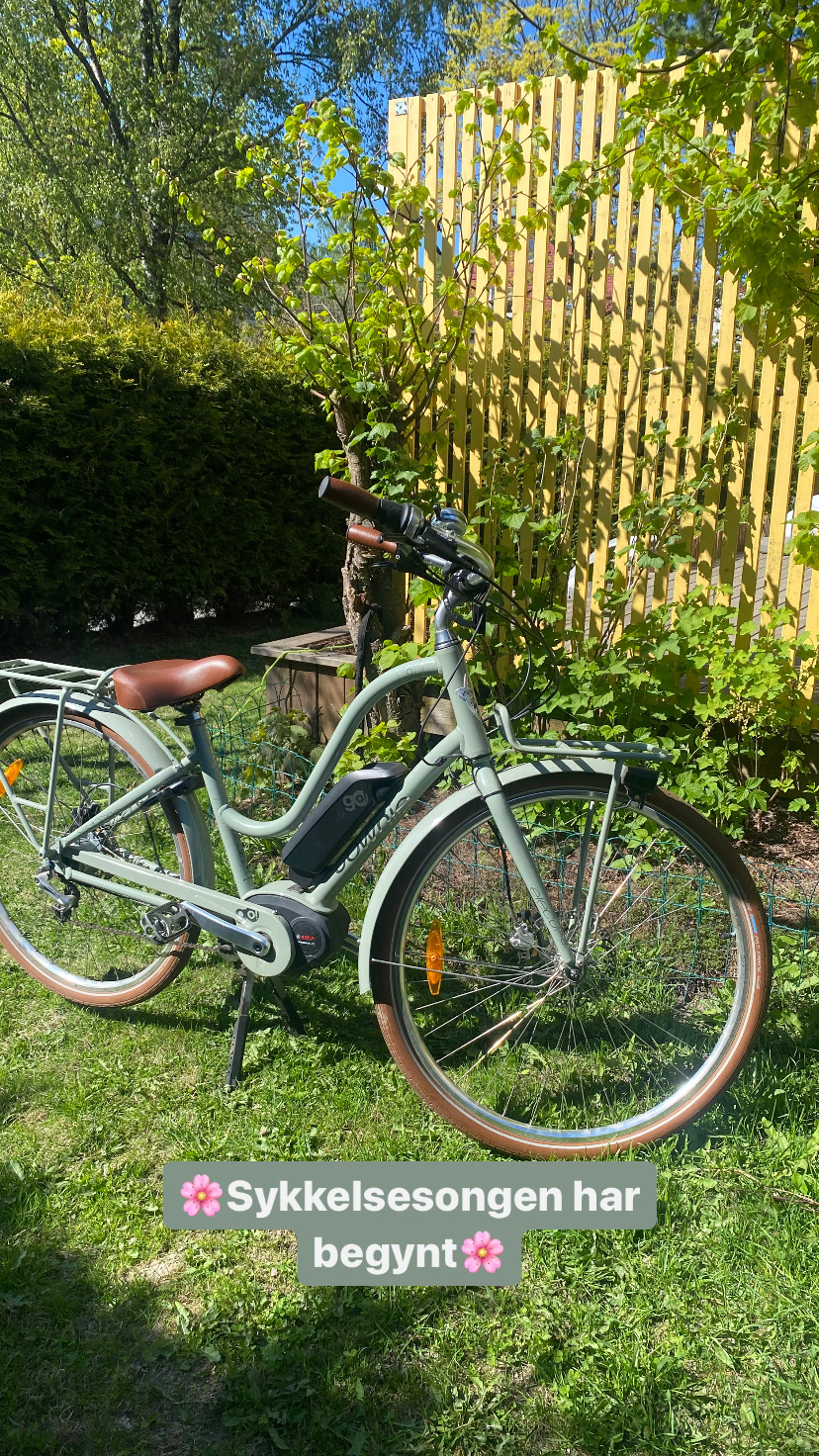 Electra townie go 2020 modell