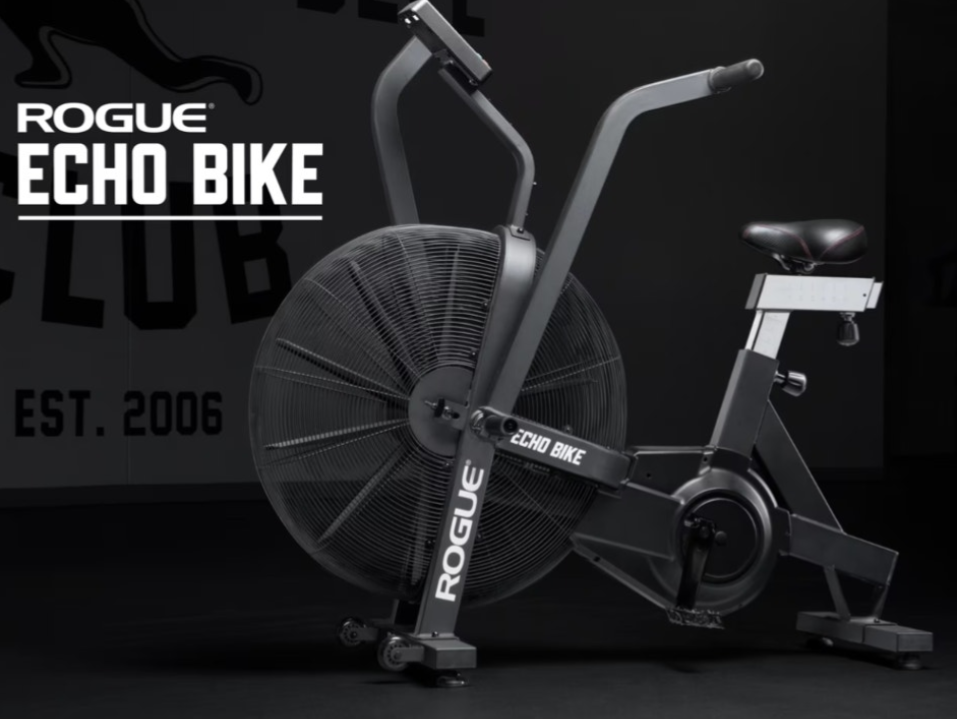 Rogue echo bike