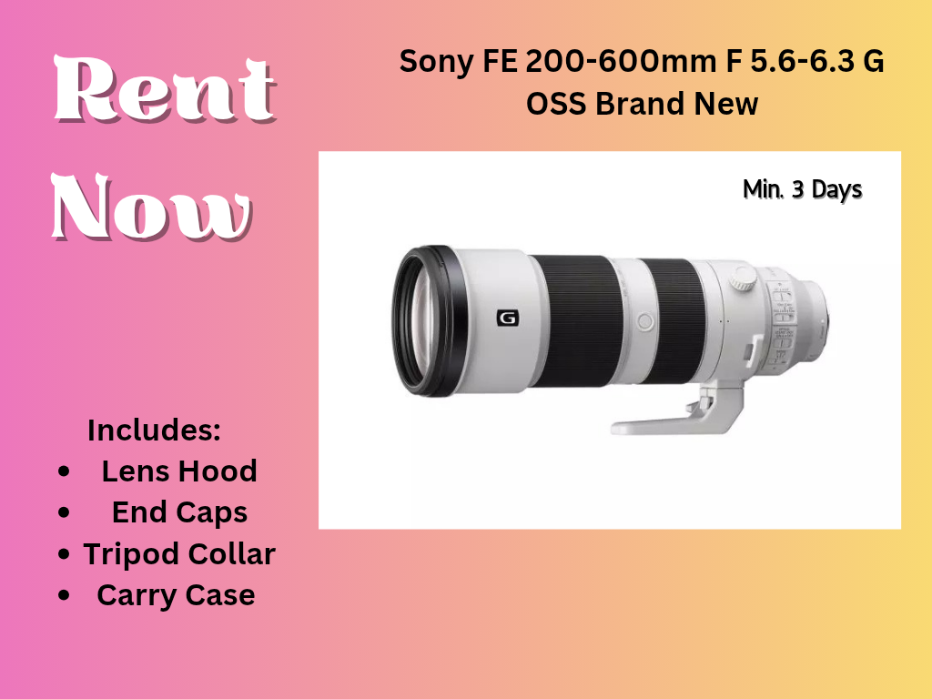 Sony fe 200-600 mm wildlife special 