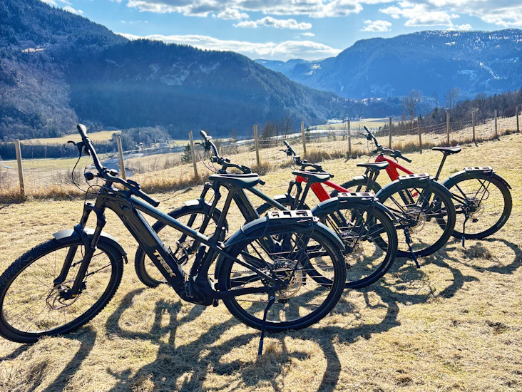 Trek elsykkel - lei en av norges beste tur- og terrengsykkel – 4 stykk ( 2 x l og 2xm) - kan leveres i henger
