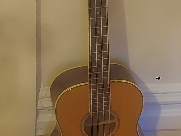 Baritone ukulele