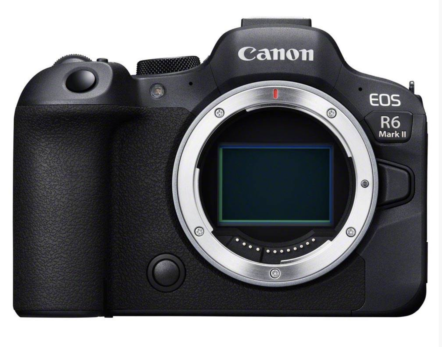 Canon r6 ii body only (+ef adapter if required)