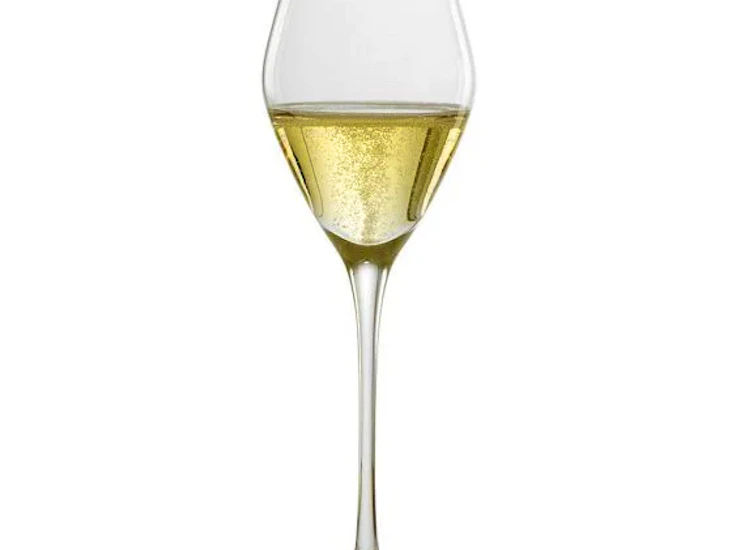 12 odyssé champagneglass