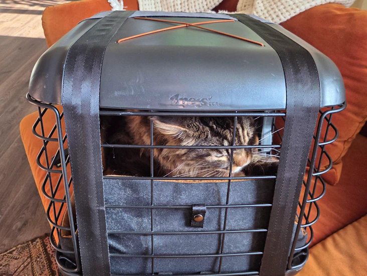 4pats caree - tüv-testede transportkasser for alle bilseter opp til 15 kg