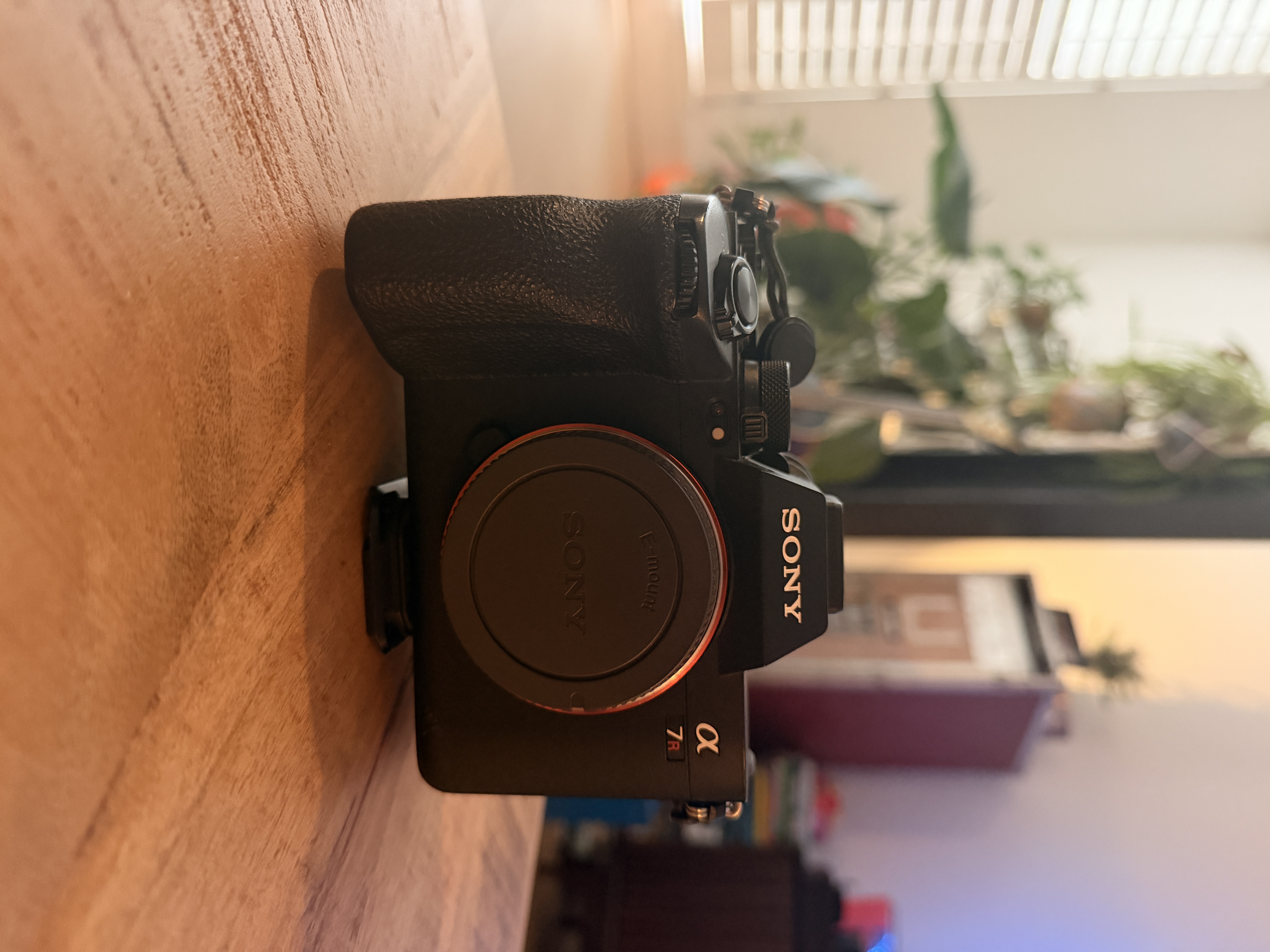 Sony a7rv + 2 x 256gb v90 300mb/s angelbird sd cards