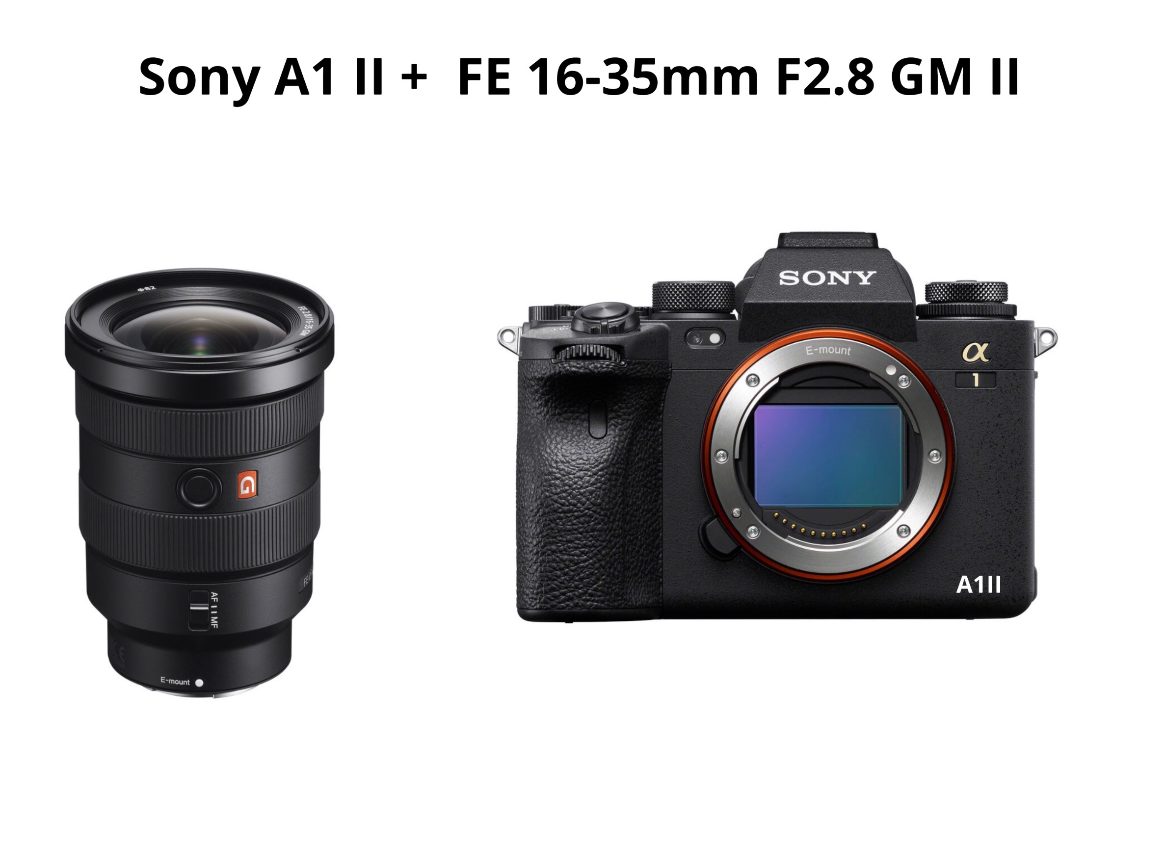 Sony a1 ii + fe 16-35mm f2.8 gm ii  ( a1mii  a1 mark ii )