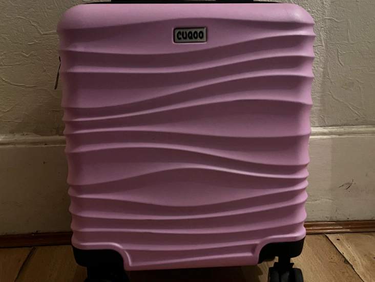 Small pink cabin case