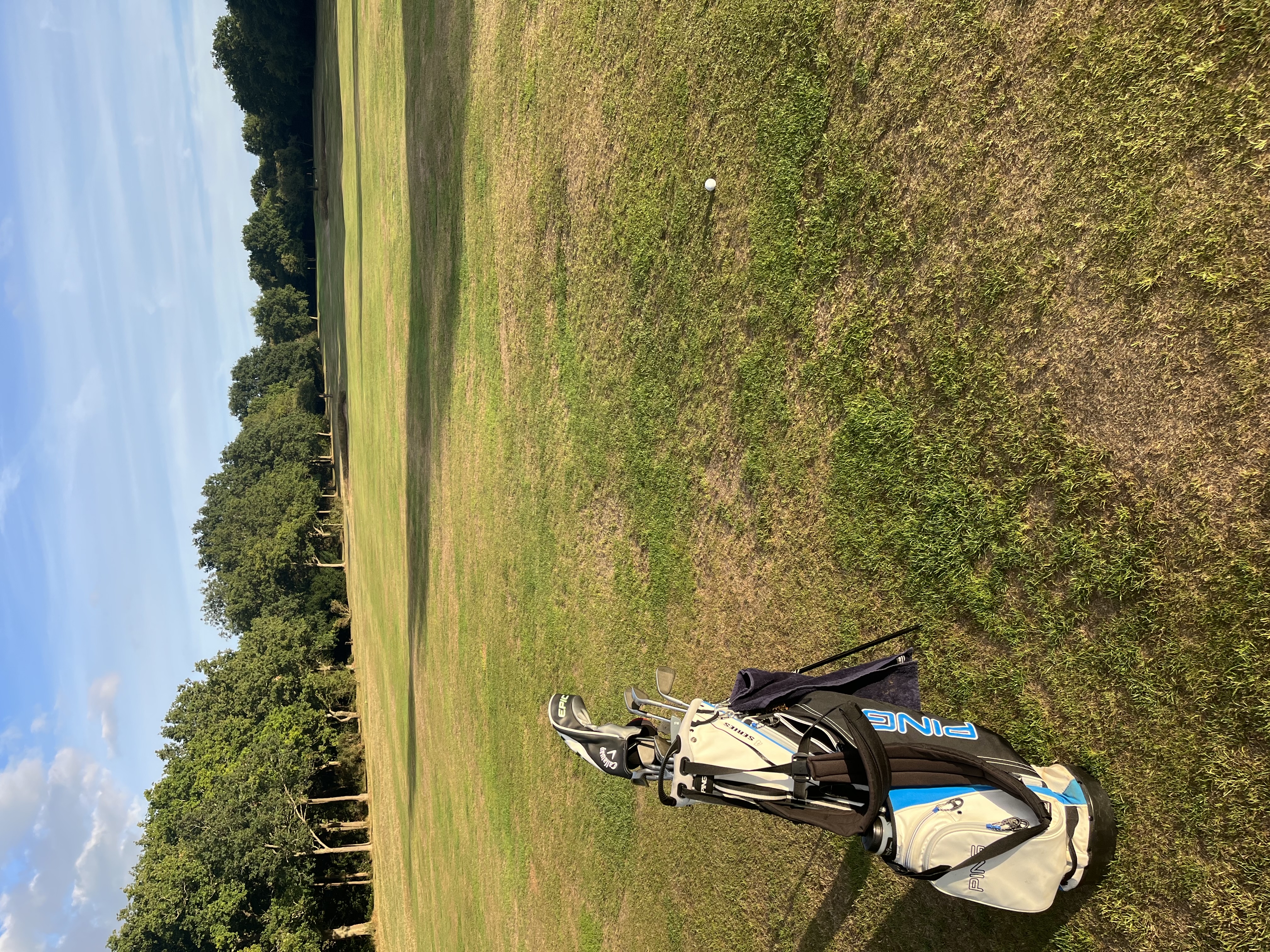 Full set ping golf set & bag 