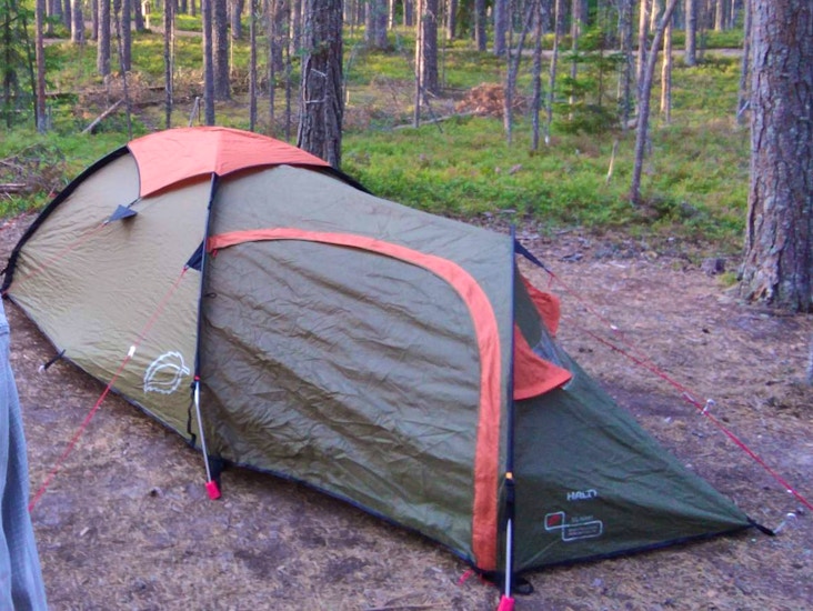 Teltta 1.5h halti dl-hiker