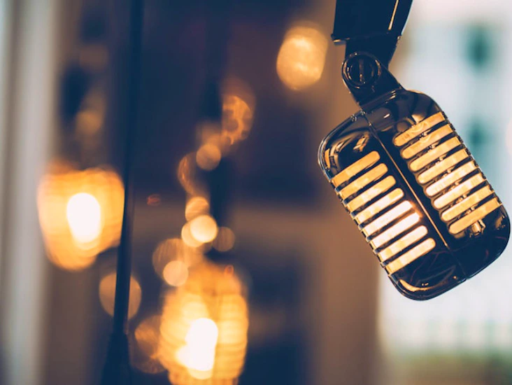 Mikrofoner för sång och instrument