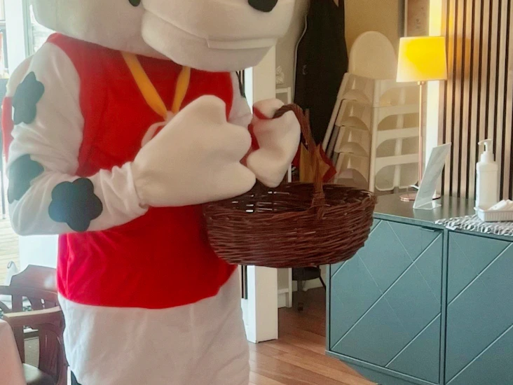 Paw patrol marshall maskeraddräkt