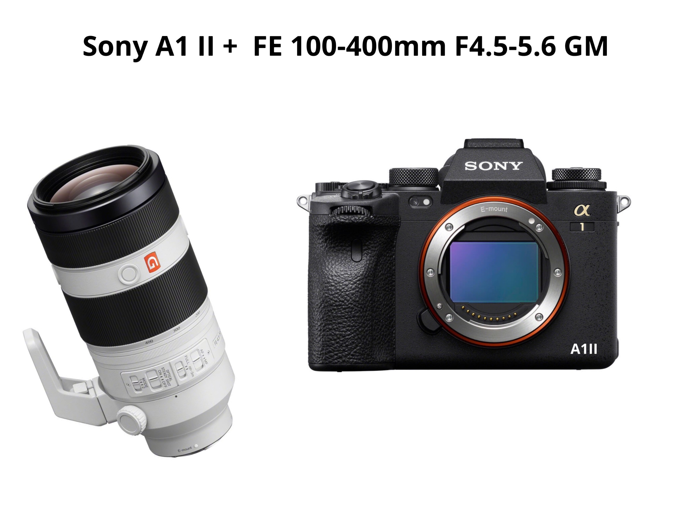 Sony a1 ii + fe 100-400mm f4.5-5.6 gm 