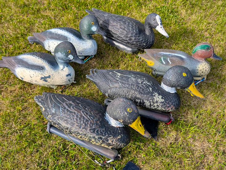 Lokkefugler til andejakt "the funky bunch"