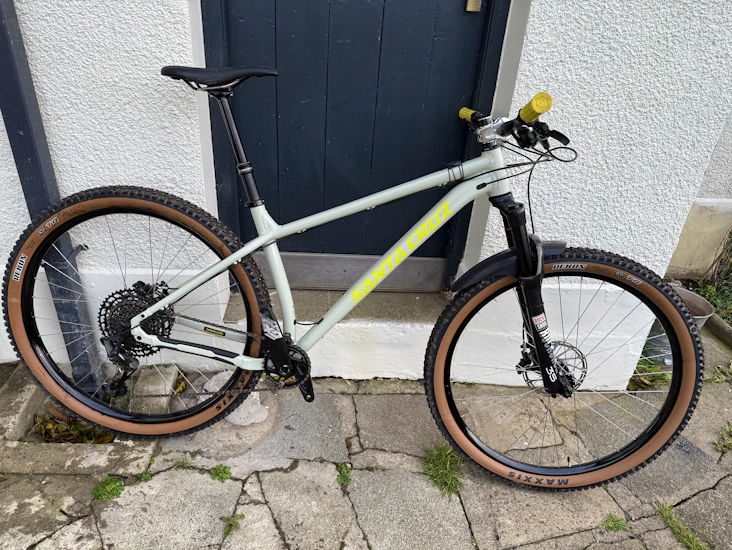 Santa cruz chameleon size large