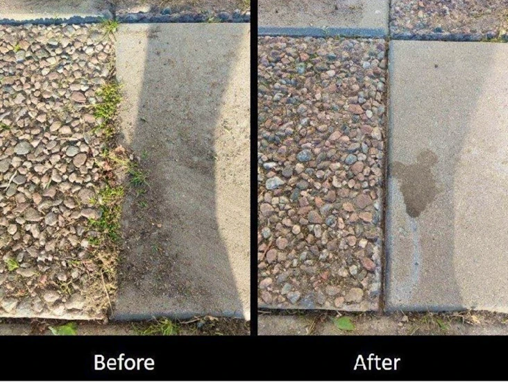 ogräsborste/plattrensare