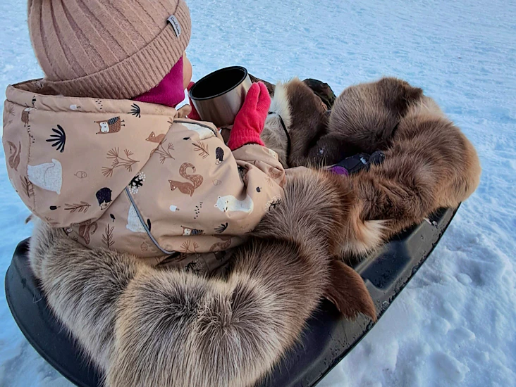 Ahkio + porontalja – lämmin kuljetusratkaisu lapselle tai varusteille