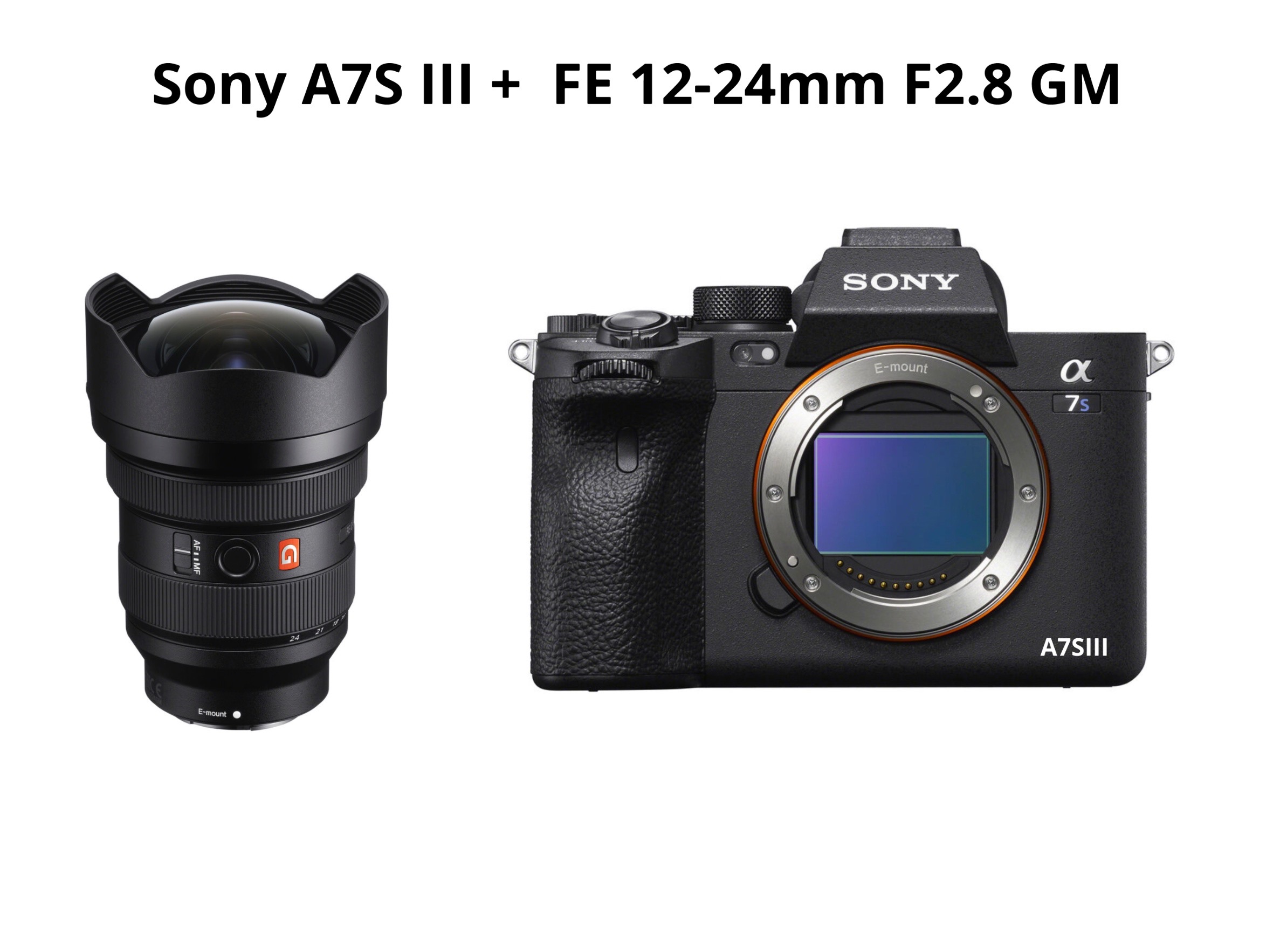 Sony a7s iii + fe 12-24mm f2.8 gm ( sony a7siii )