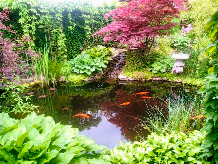 Trädgård för fotografering