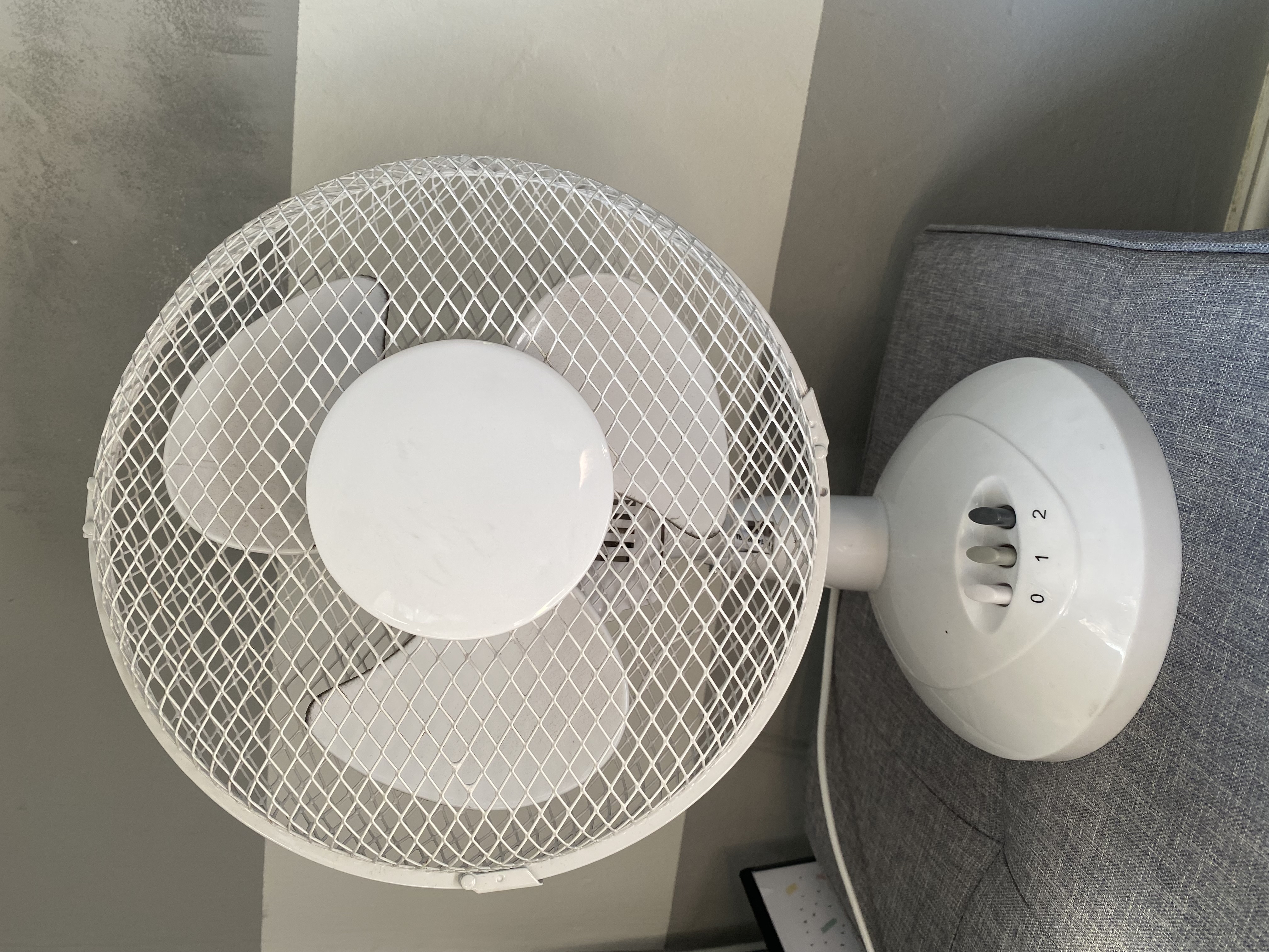 Fan