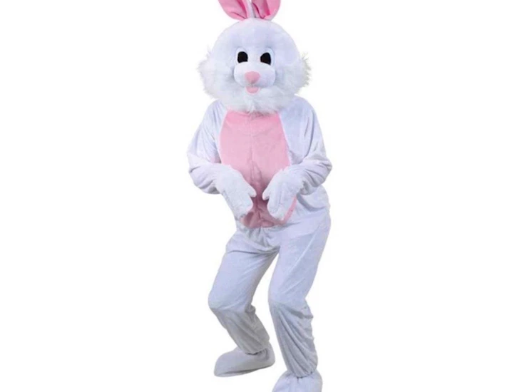 Maskeraddräkt superkaninen knaskalle