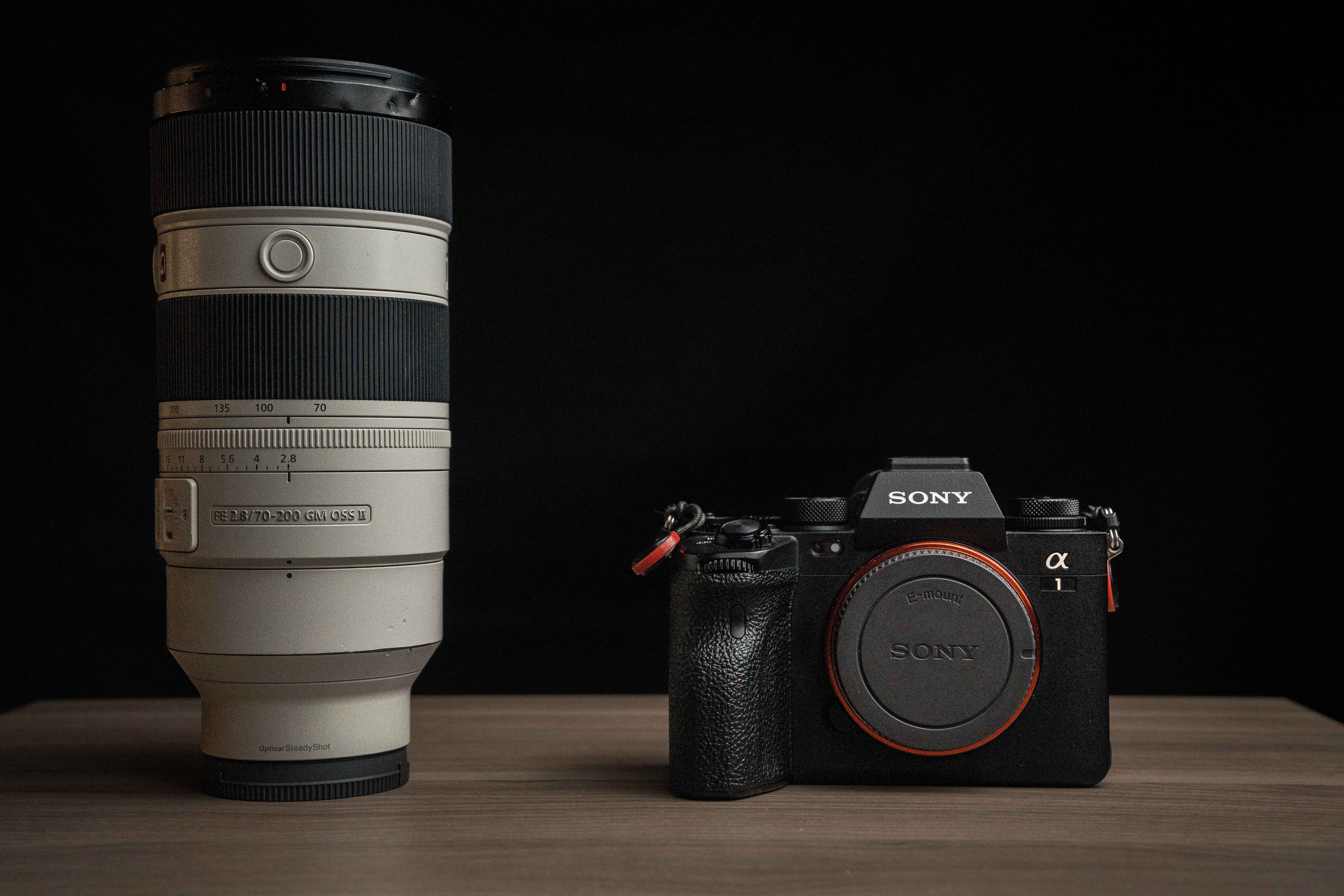 Sony a1+ 70-200mm f2.8 gm ii
