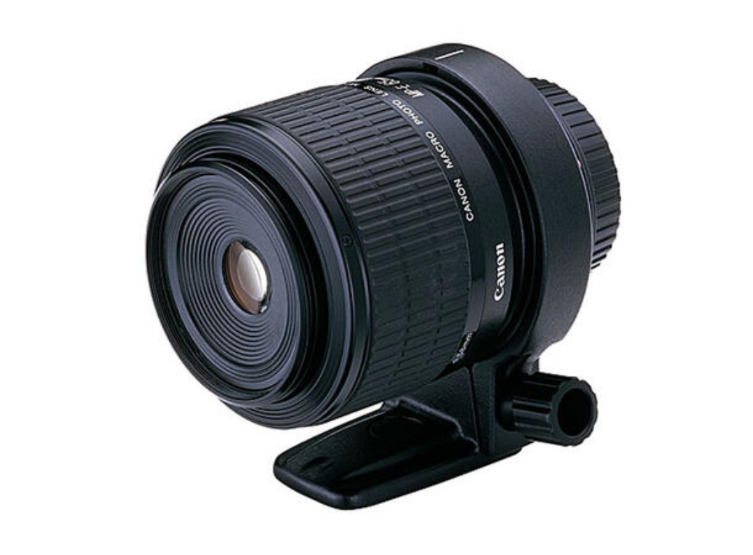 Macro: canon mp-e 65mm f/2.8 +  blitz