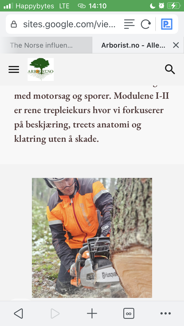 Arboristutstyr
