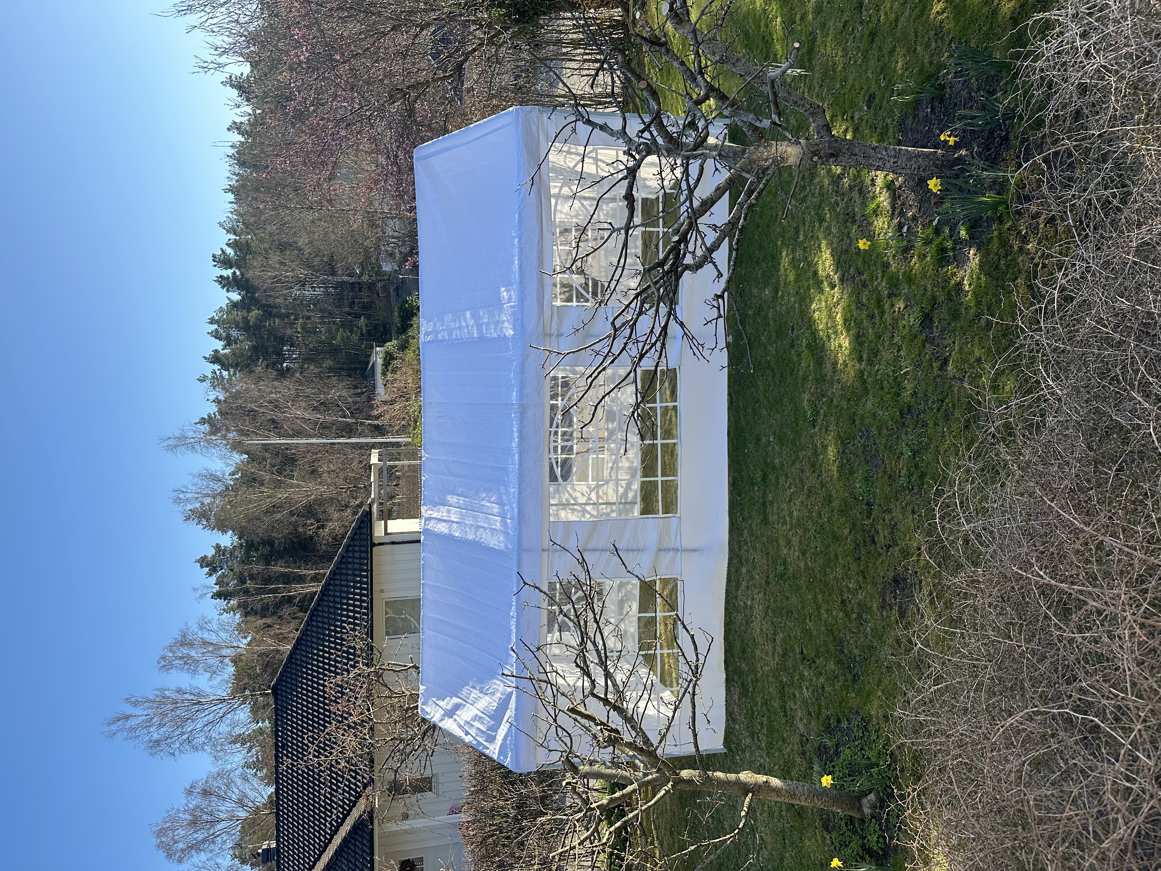 Partytält + montering 