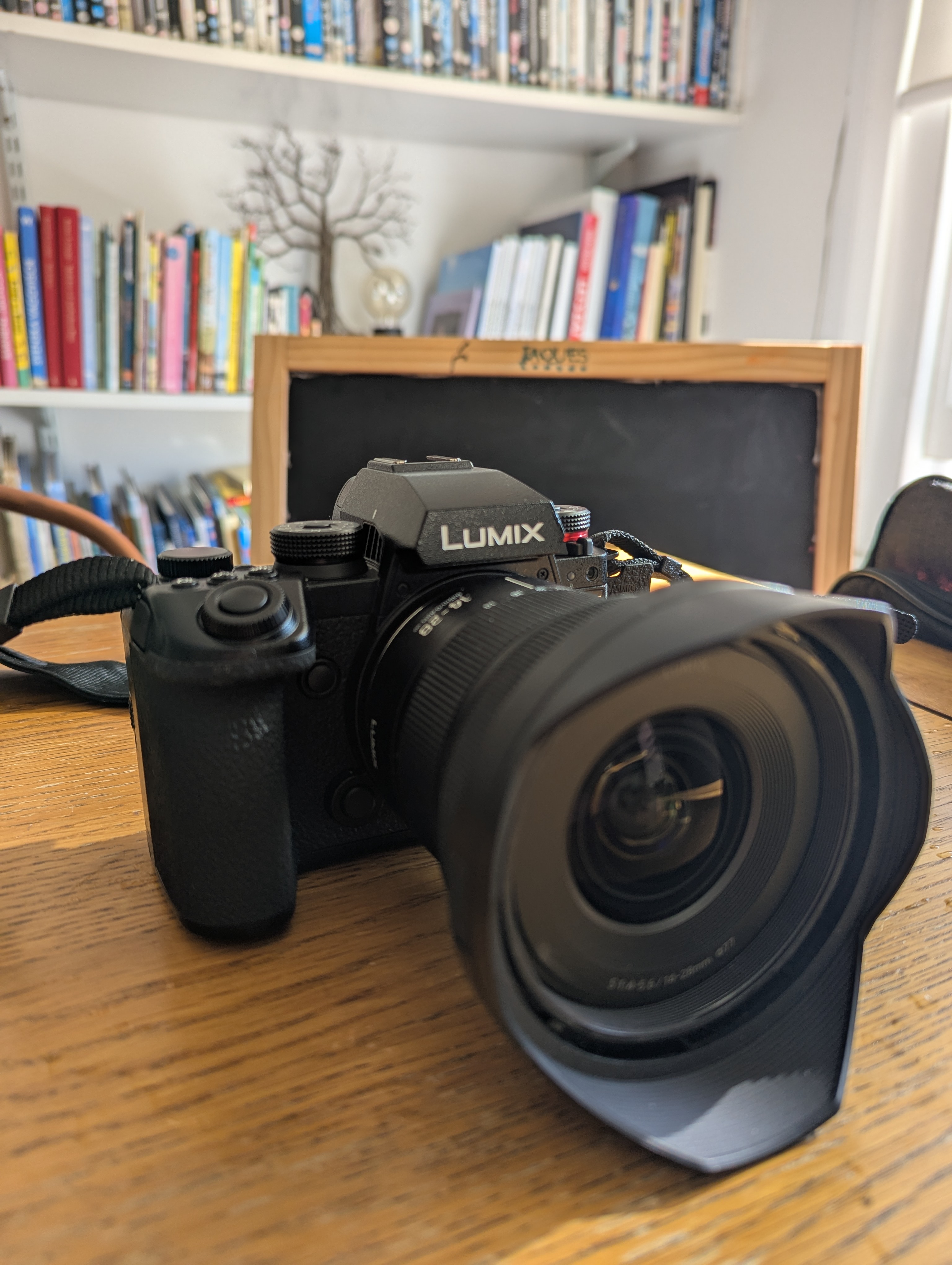 Lumix s1r ii & 14-28mm f/4-5.6 macro