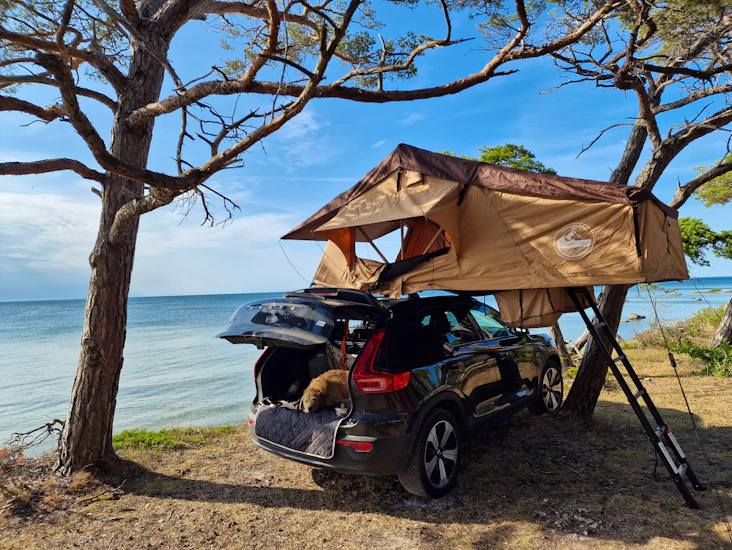 Taktält - safari pro m