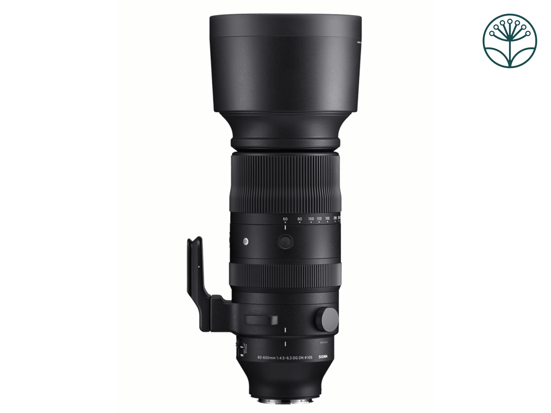 Sigma 60-600mm f/4.5-6.3 dg dn os sport - l mount