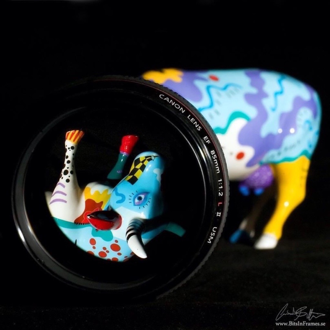 Canon ef 85mm f:1.2l ii