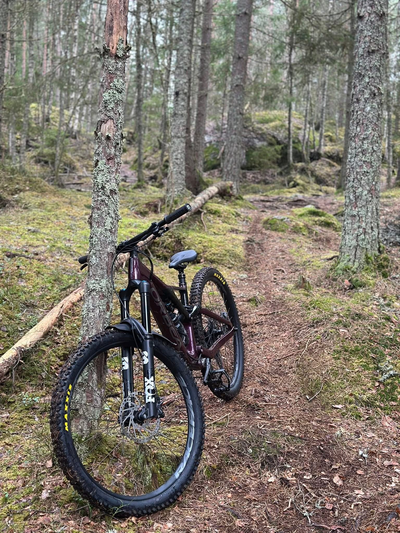 Orbea rallon fulldemper m